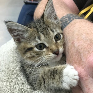 Edward & Nicole Maia